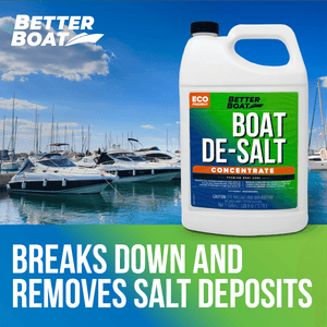 De-Salt Concentrate Salt Remover and Flusher