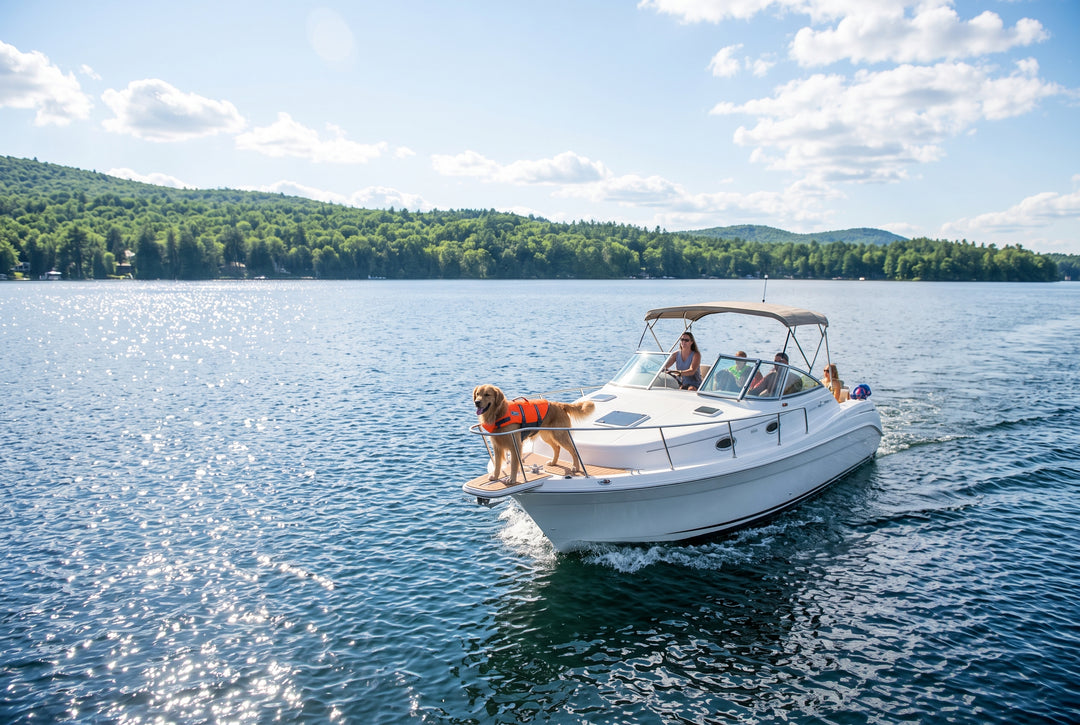 7 Boat Accessories for Dogs You Might Have Overlooked - boating photo