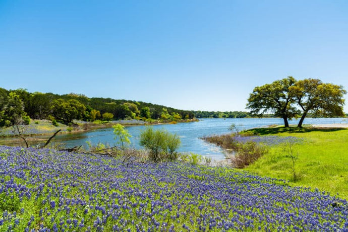 Lone Star Lake Love: The Best Boating Lakes in Texas