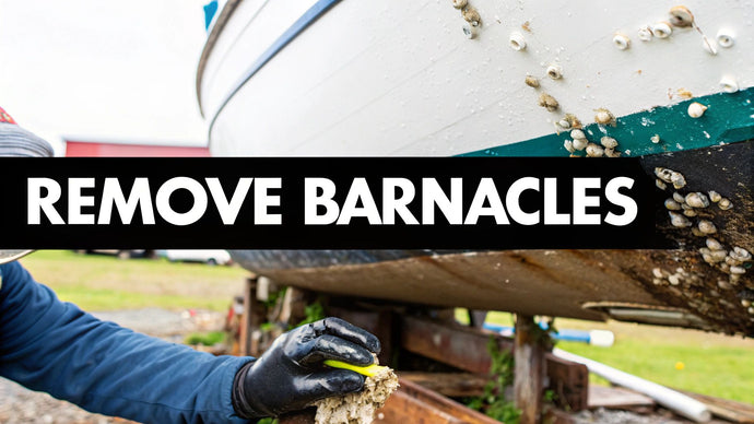How to Remove Barnacles From Your Boat Hull