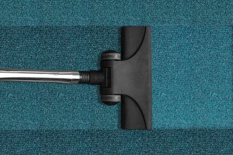 Weekend Project: The Best Way to Clean Your Pontoon Carpet