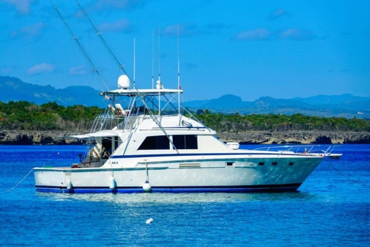 The Various Types of Saltwater Fishing Boats for Serious Anglers