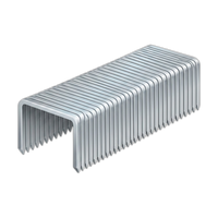 Stainless Steel Staples