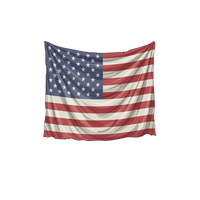 Printed Flag Alone
