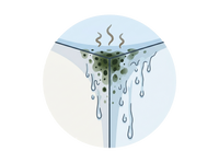 No Dehumidifier