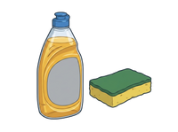Dish Soap and Sponge