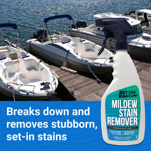 remove mildew and mold stains on boats